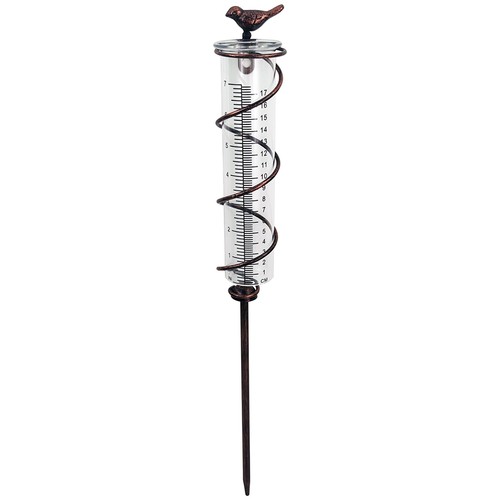 Capacity glass spiral - spiral, rain